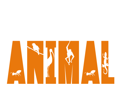 comportate como un animal